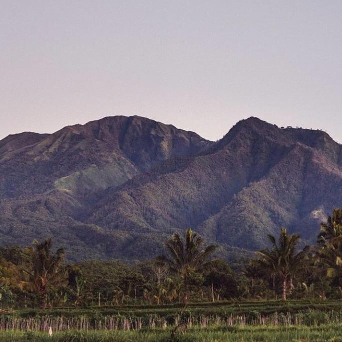 Tetebatu Mountain View Homestay エクステリア 写真