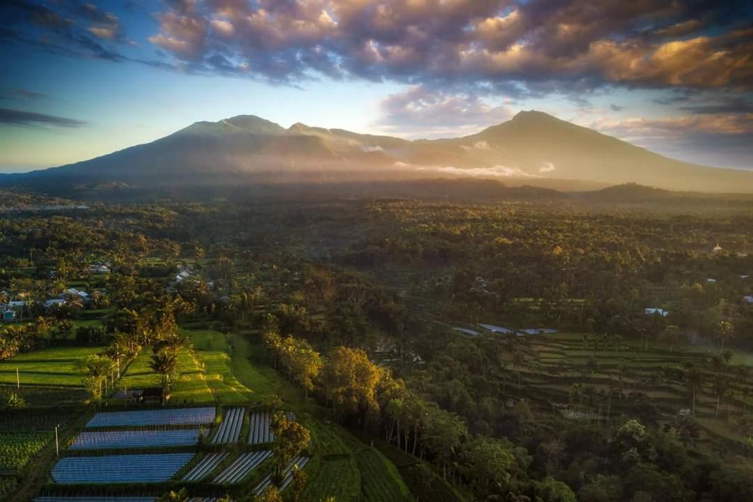 Tetebatu Mountain View Homestay エクステリア 写真