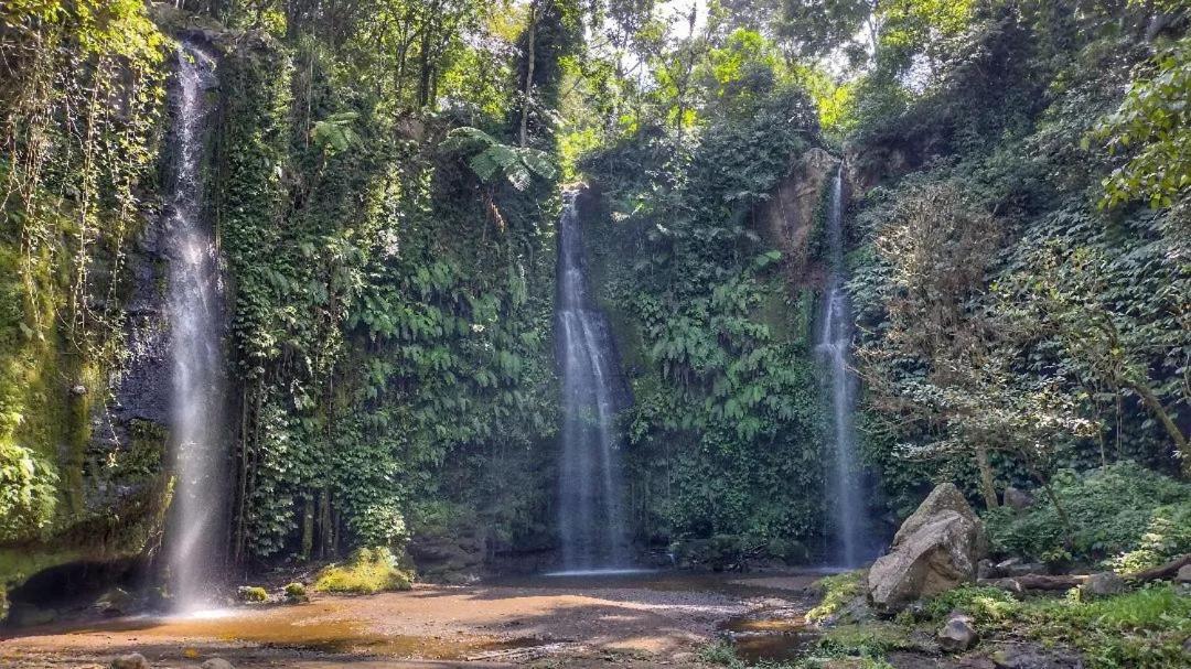 Tetebatu Mountain View Homestay エクステリア 写真