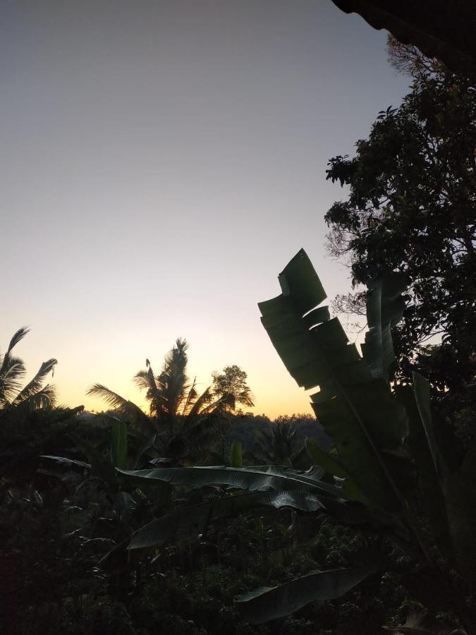 Tetebatu Mountain View Homestay エクステリア 写真