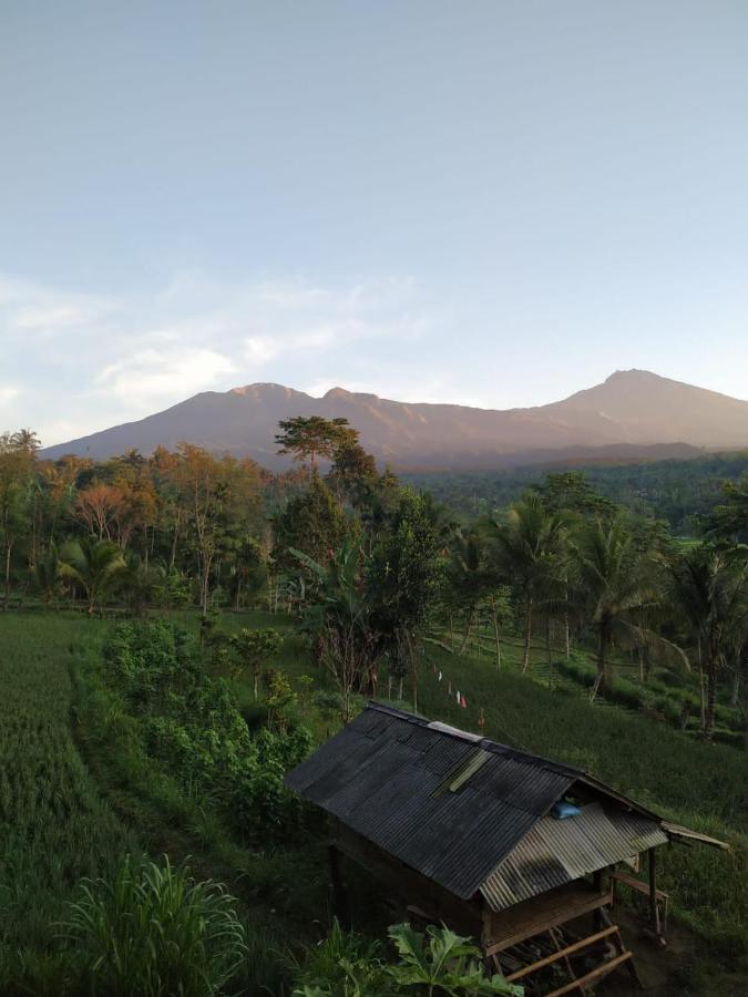 Tetebatu Mountain View Homestay エクステリア 写真