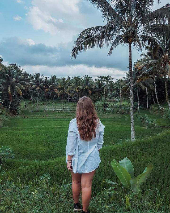 Tetebatu Mountain View Homestay エクステリア 写真