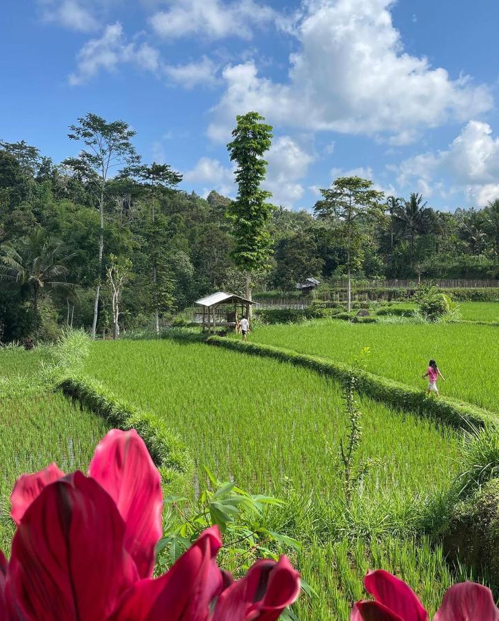 Tetebatu Mountain View Homestay エクステリア 写真