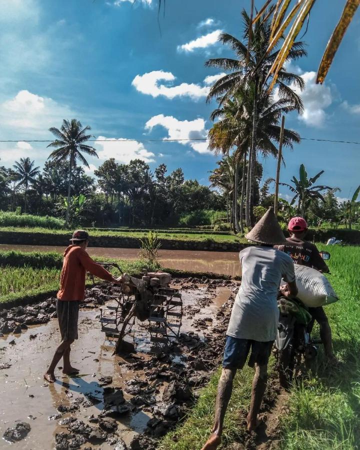 Tetebatu Mountain View Homestay エクステリア 写真