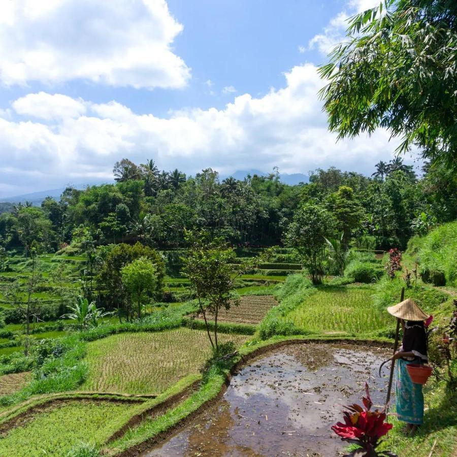 Tetebatu Mountain View Homestay エクステリア 写真