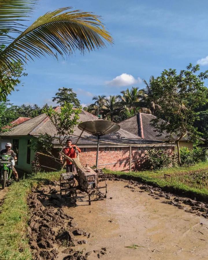 Tetebatu Mountain View Homestay エクステリア 写真