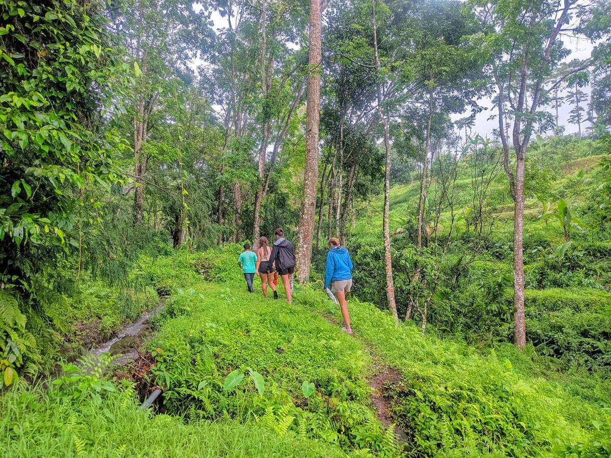 Tetebatu Mountain View Homestay エクステリア 写真