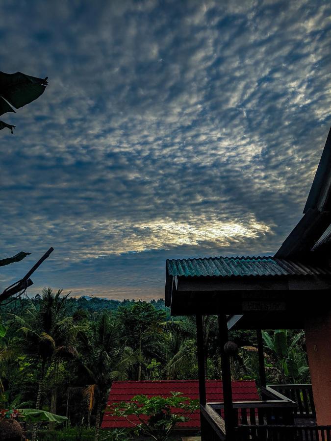 Tetebatu Mountain View Homestay エクステリア 写真