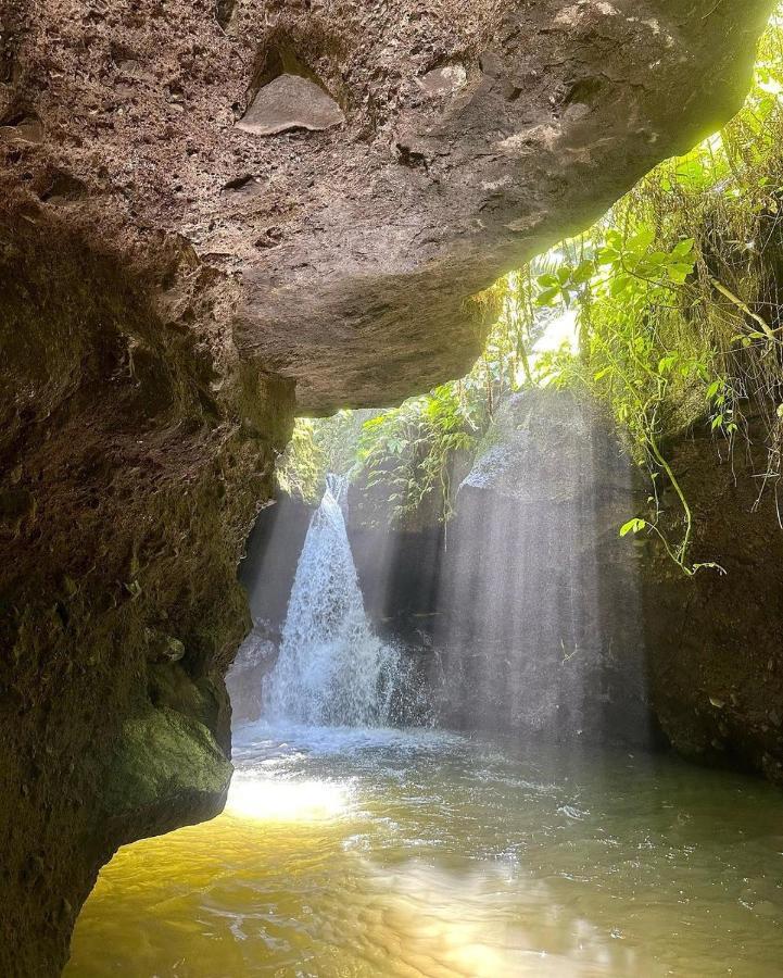 Tetebatu Mountain View Homestay エクステリア 写真