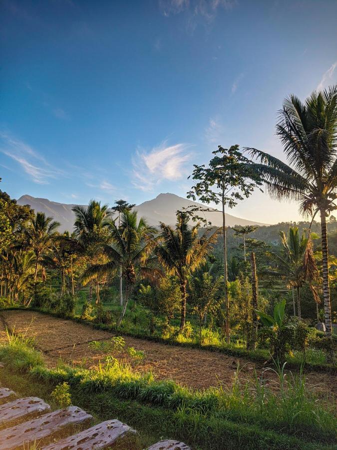 Tetebatu Mountain View Homestay エクステリア 写真