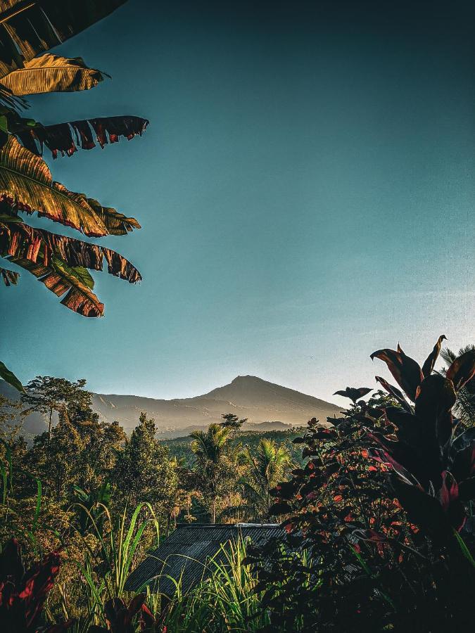 Tetebatu Mountain View Homestay エクステリア 写真