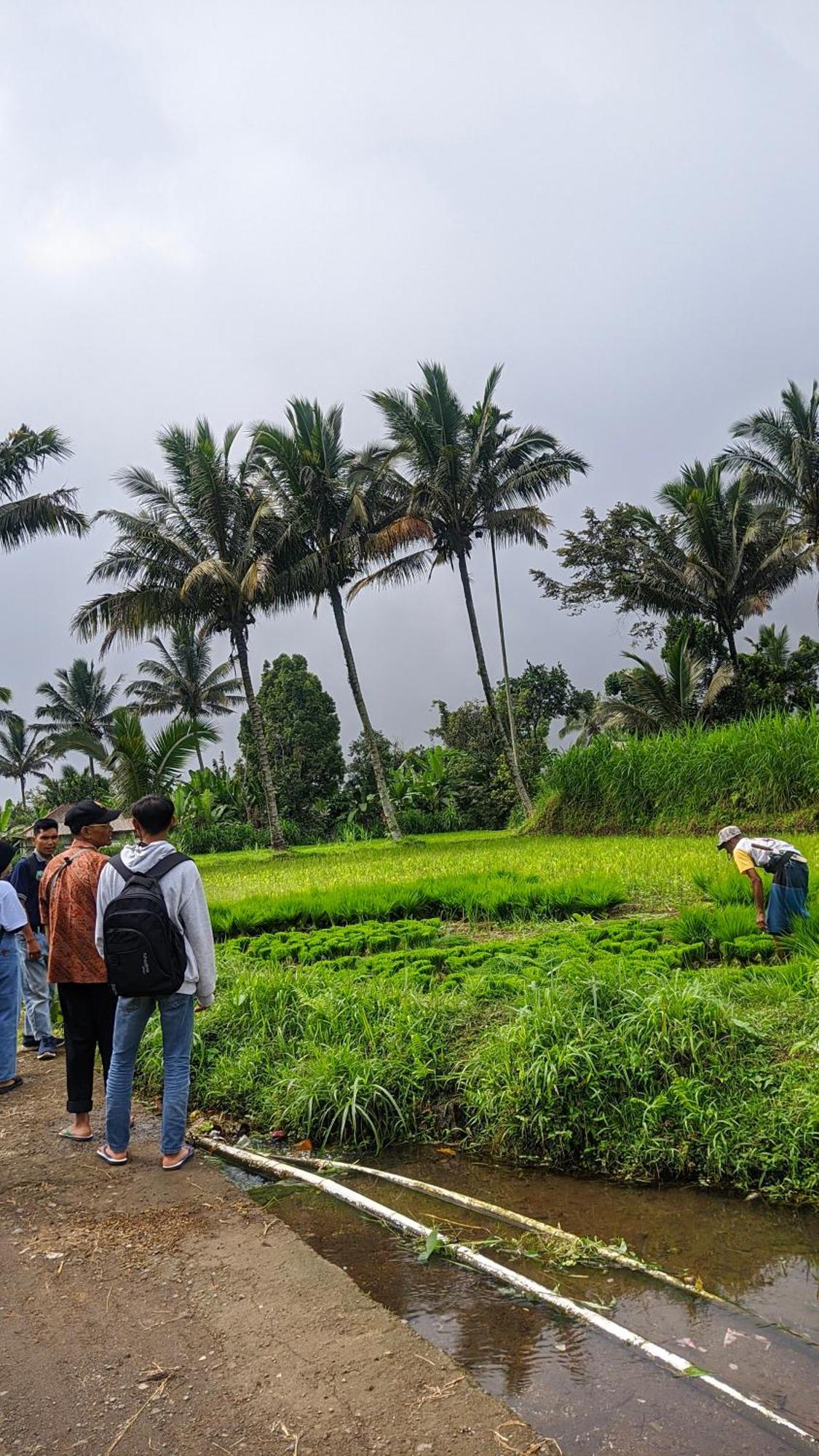 Tetebatu Mountain View Homestay エクステリア 写真