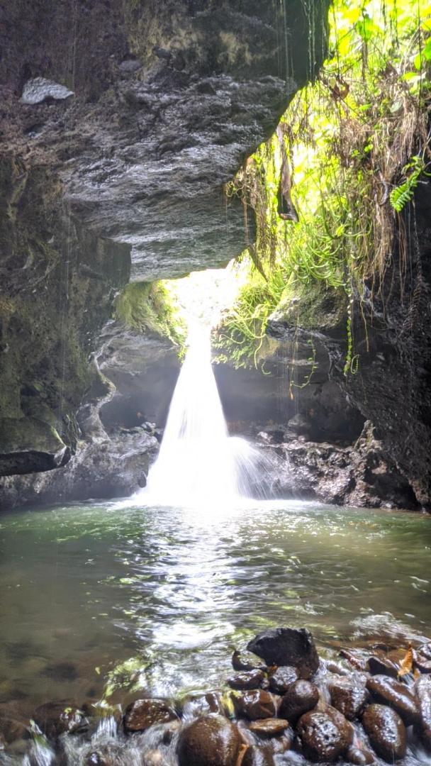 Tetebatu Mountain View Homestay エクステリア 写真