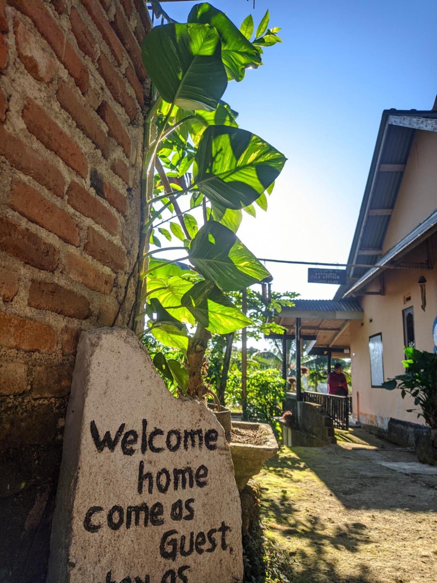 Tetebatu Mountain View Homestay 部屋 写真